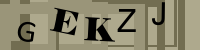 Verify Captcha